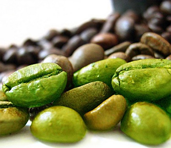 Экстракт зерен зеленого кофе является мощным антиоксидантом Экстракт зерен зеленого кофе является мощным антиоксидантом