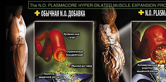 Muscle Asylum Project N.O. PlasmaCore