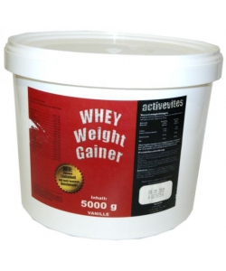 Activevites Whey weight gainer (5000 грамм)