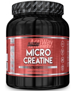 ActiWay Nutrition Micro Creatine (500 грамм)