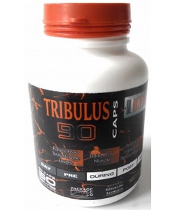 DL Nutrition Tribulus 90 (60 капсул)