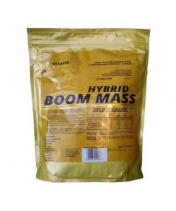 Intragen Hybrid Boom Mass Gold Series (1000 грамм, 16 порций)