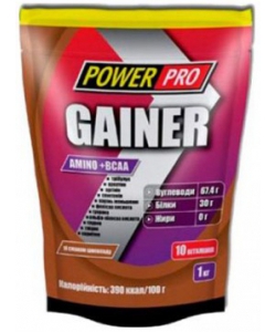 Power Pro Gainer Amino + BCAA (1000 грамм, 10 порций)