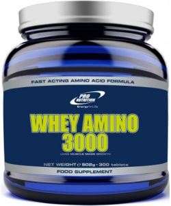 Pro Nutrition Whey Amino 3000 (300 таблеток)