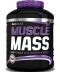BioTech USA Muscle Mass (2270 грамм, 32 порции)