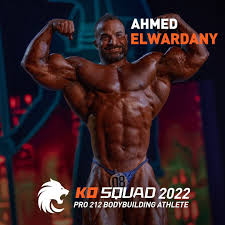 Ахмед Эль Вардани, Ahmed El Wardany, 