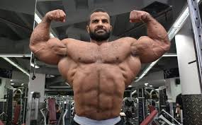 Ахмед Эль Вардани, Ahmed El Wardany, 