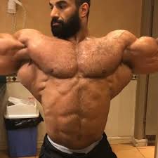 Ахмед Эль Вардани, Ahmed El Wardany, 