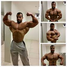 Ахмед Эль Вардани, Ahmed El Wardany, 