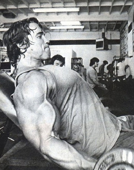Арнольд Шварценеггер, Arnold Schwarzenegger, 
