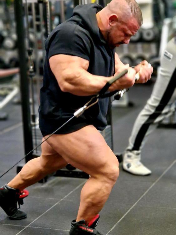 Даниэль Стикко, Daniel Sticco, 