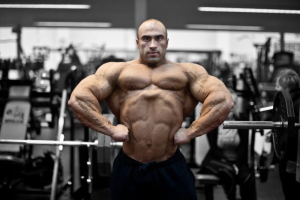 Даррен Бол, Darren Ball, 