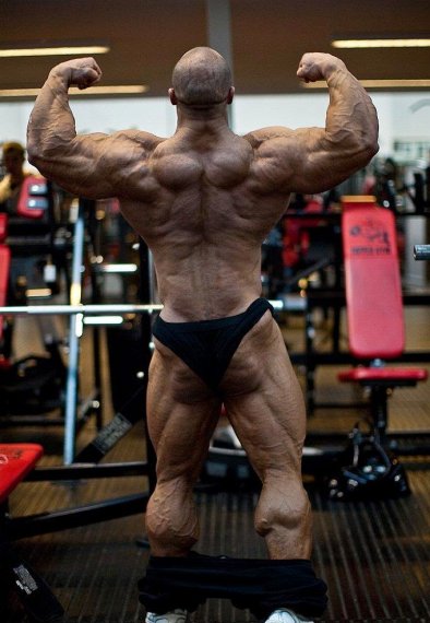 Даррен Бол, Darren Ball, 