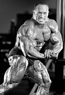 Дэйв Палумбо, Dave Palumbo, 