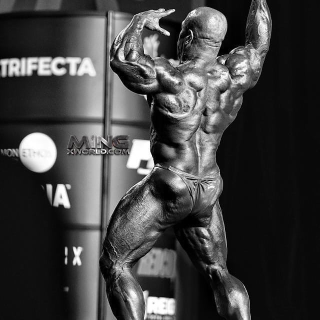 Дэвид Хенри, David Henry, 