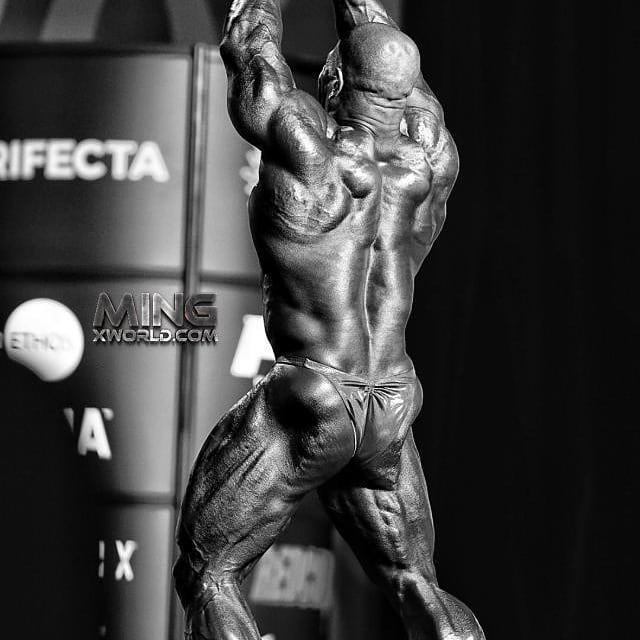 Дэвид Хенри, David Henry, 