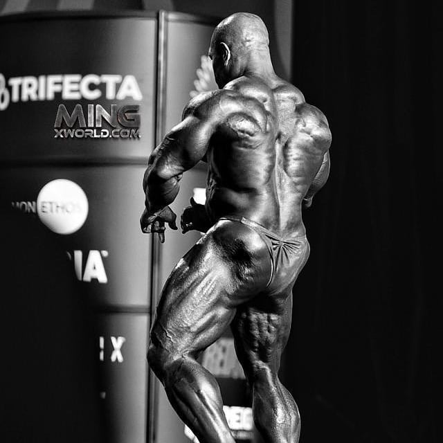 Дэвид Хенри, David Henry, 