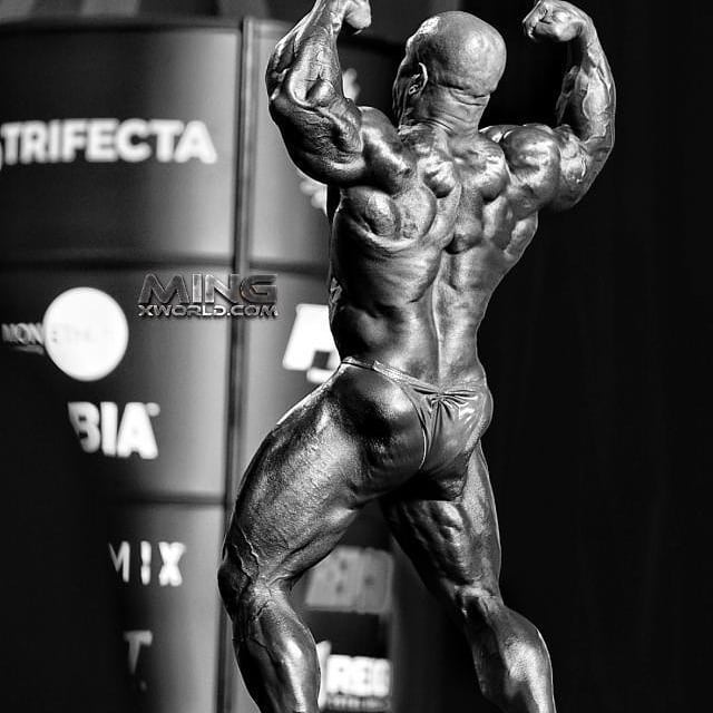 Дэвид Хенри, David Henry, 