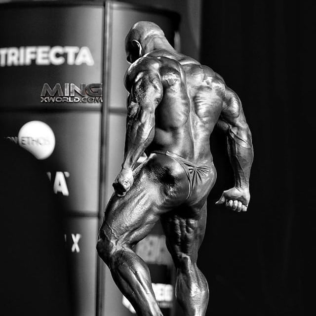 Дэвид Хенри, David Henry, 