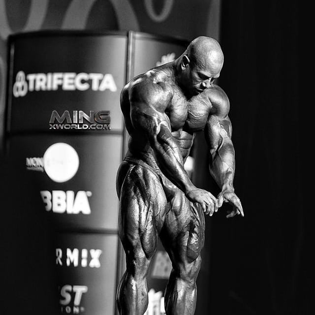 Дэвид Хенри, David Henry, 