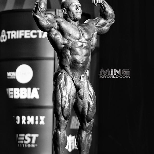 Дэвид Хенри, David Henry, 