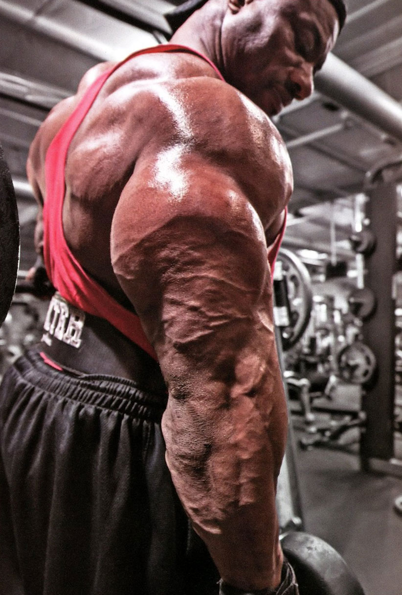 Декстер Джексон, Dexter Jackson, 