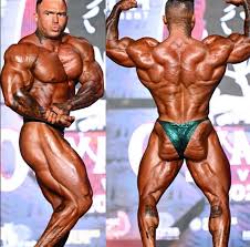 Франсиско Барриос Влк, Francisco Barrios Vlk, 