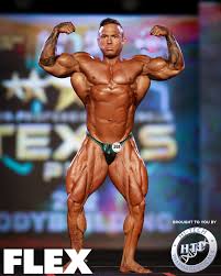 Франсиско Барриос Влк, Francisco Barrios Vlk, 