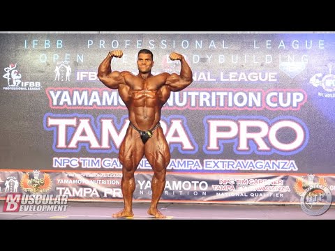 Хассан Мостафа, Hassan Mostafa, 