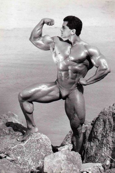 Джо Спинелло, Joe Spinello, 