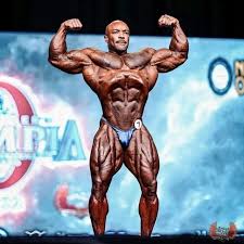 Керрит Баджо, Kerrith Bajjo, 