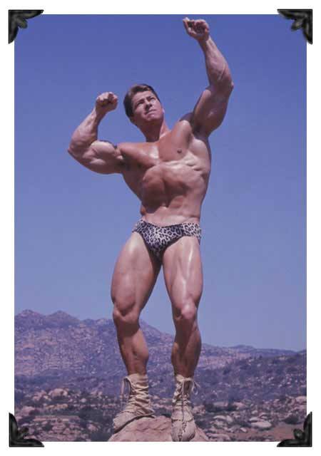 Ларри Скотт, Larry Scott, 