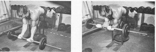 Ларри Скотт, Larry Scott, 