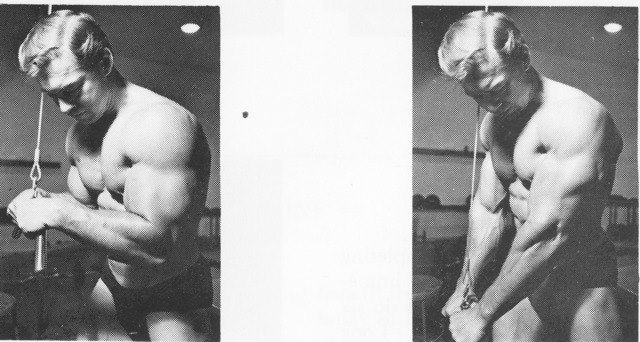 Ларри Скотт, Larry Scott, 