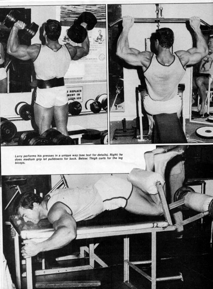 Ларри Скотт, Larry Scott, 