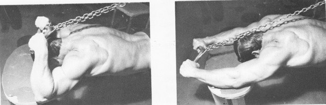 Ларри Скотт, Larry Scott, 