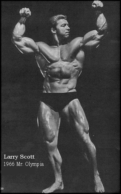 Ларри Скотт, Larry Scott, 