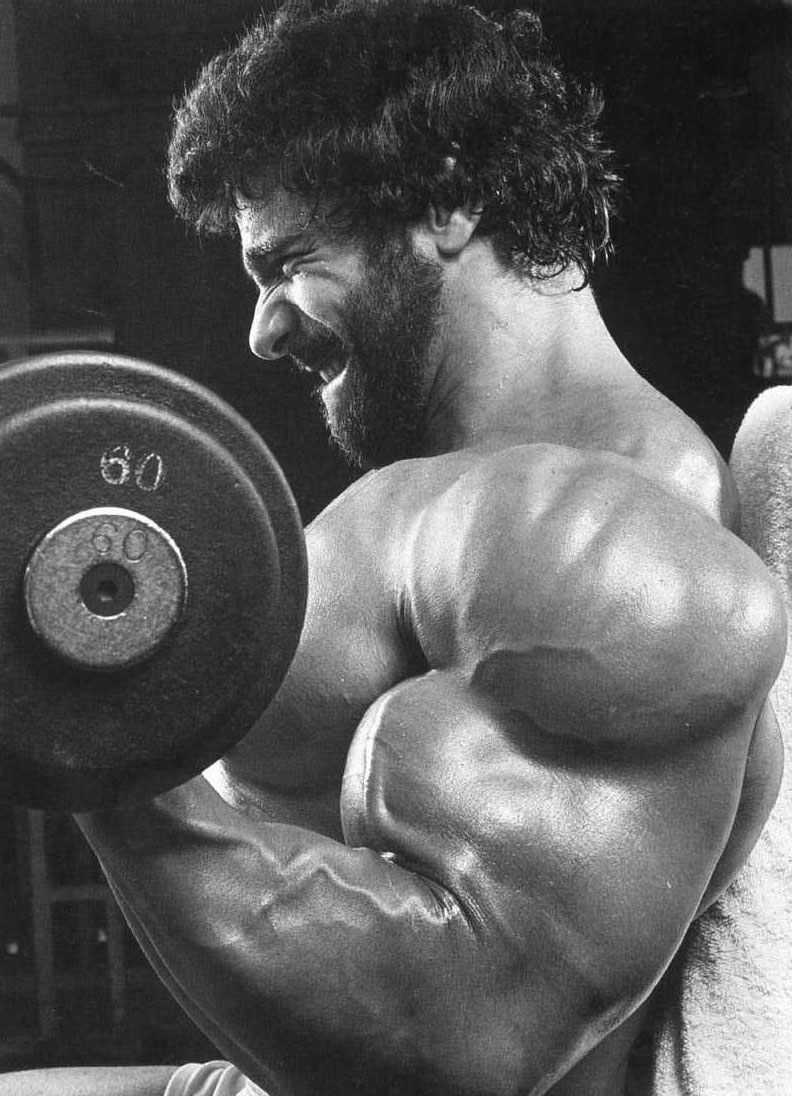 Лу Ферриньо, Lou Ferrigno, 