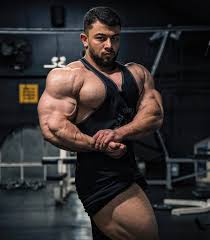 Нихат Кая, Nihat Kaya, 