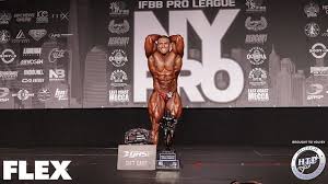 Ноэль Адам, Noel Adame, 