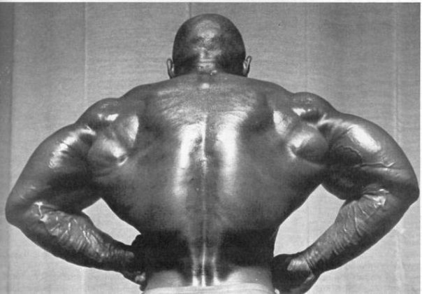 Сержио Олива, Sergio Oliva, 