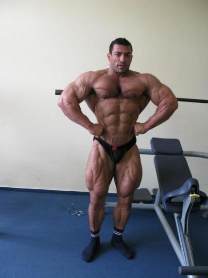 Тарек Эльсетух, Tarek Elsetouhi, 