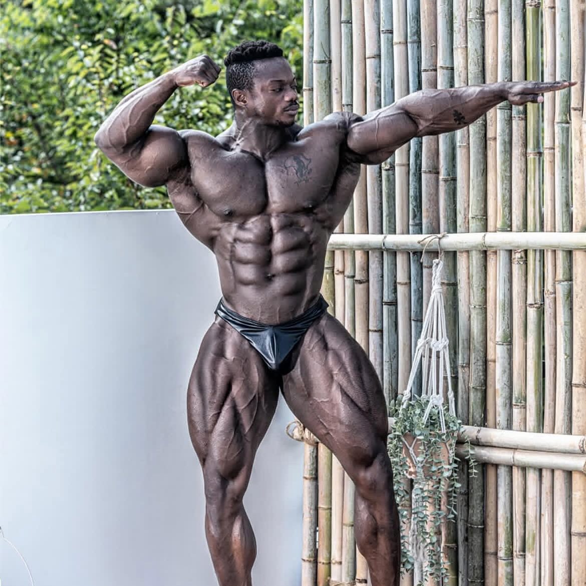 Франклин Ауду