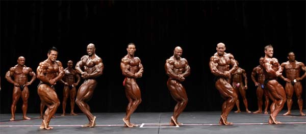Феникс ПРО 2011