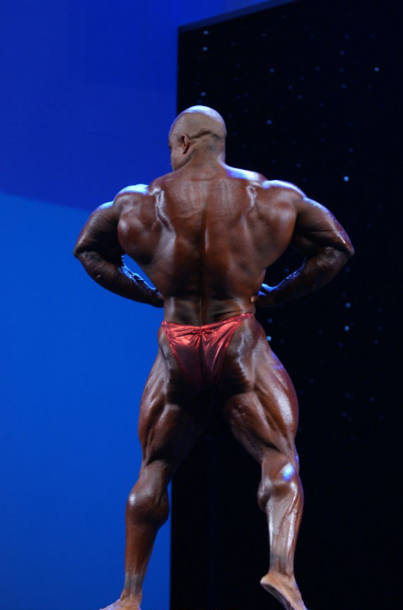 Арнольд Классик Европа 2013, Arnold Classic Europa, 12 октября 2013, Мадрид
