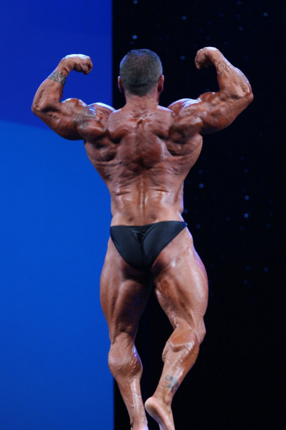 Арнольд Классик Европа 2013, Arnold Classic Europa, 12 октября 2013, Мадрид