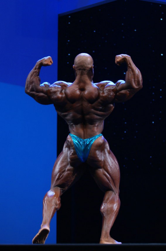 Арнольд Классик Европа 2013, Arnold Classic Europa, 12 октября 2013, Мадрид
