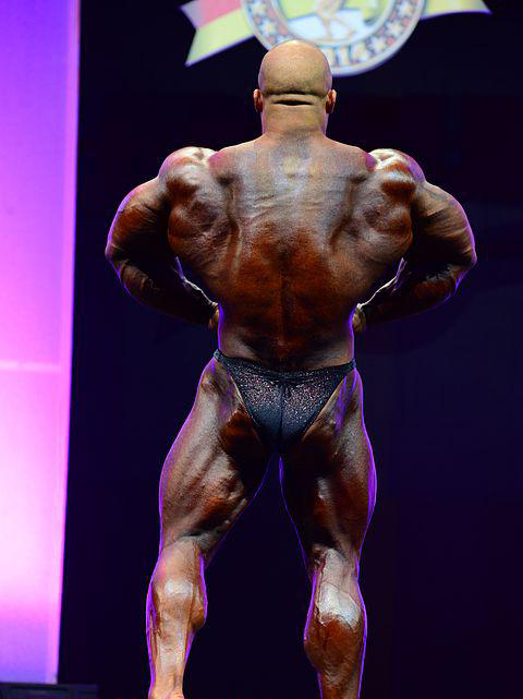 Арнольд Классик Европа 2014, Arnold Classic Europa, 27 сентября 2014, Мадрид