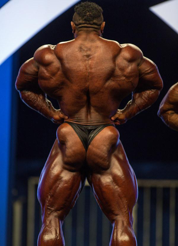 Бодипауэр Про 2016, Bodypower Pro, 13 мая 2016, Бирмингем, Великобритания