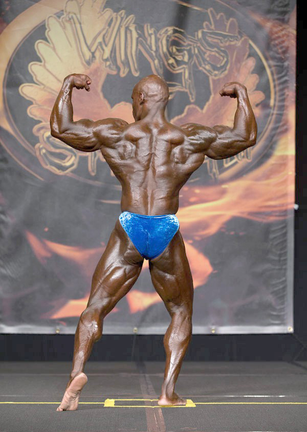 Чикаго Про 2015, Wings of Strength Chicago Pro, 4 июля 2015, Чикаго, США